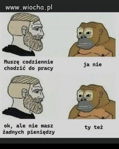 Coś w tym jest