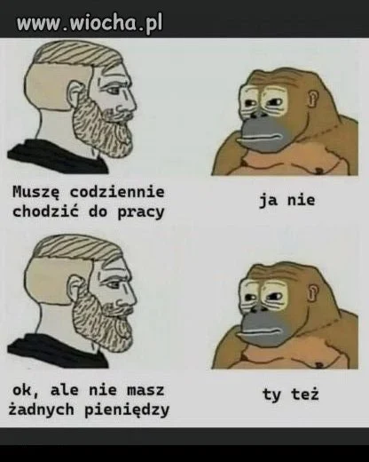 Coś w tym jest