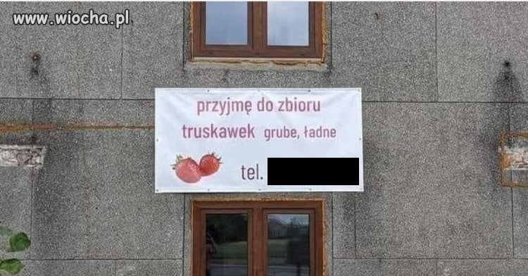 Ale ktoś ma wymagania 