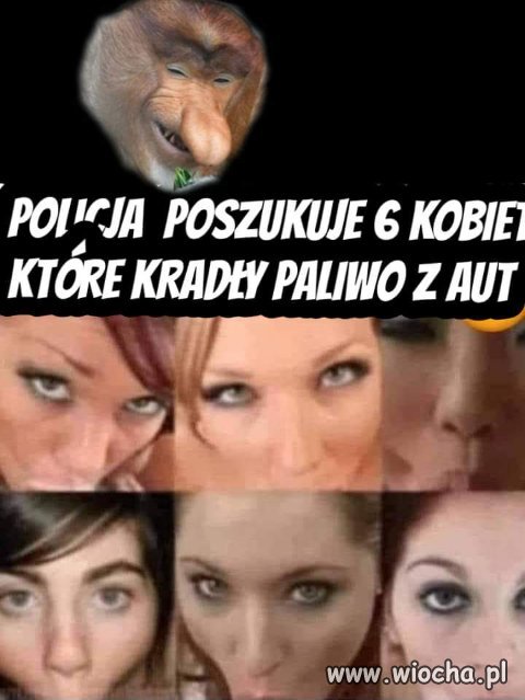 Paliwo drogie to nie dziwię się.