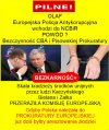 Jest nadzieja że złodzieje PiSu, poniosą karę...