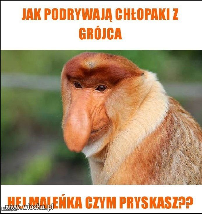 Jak podrywają badylarze?