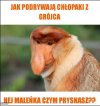 Jak podrywają badylarze?
