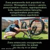 I znowu wydatek