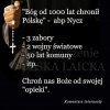Same zalety z tej ochrony 