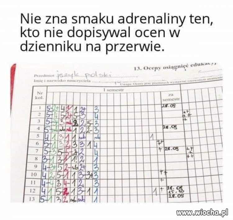 I cały misterny plan w pis-du