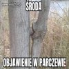Środa dzień loda.