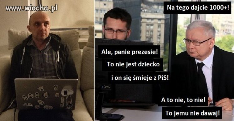 Za 800+ będzie weselej