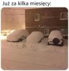 Teraz jest zielone piekło