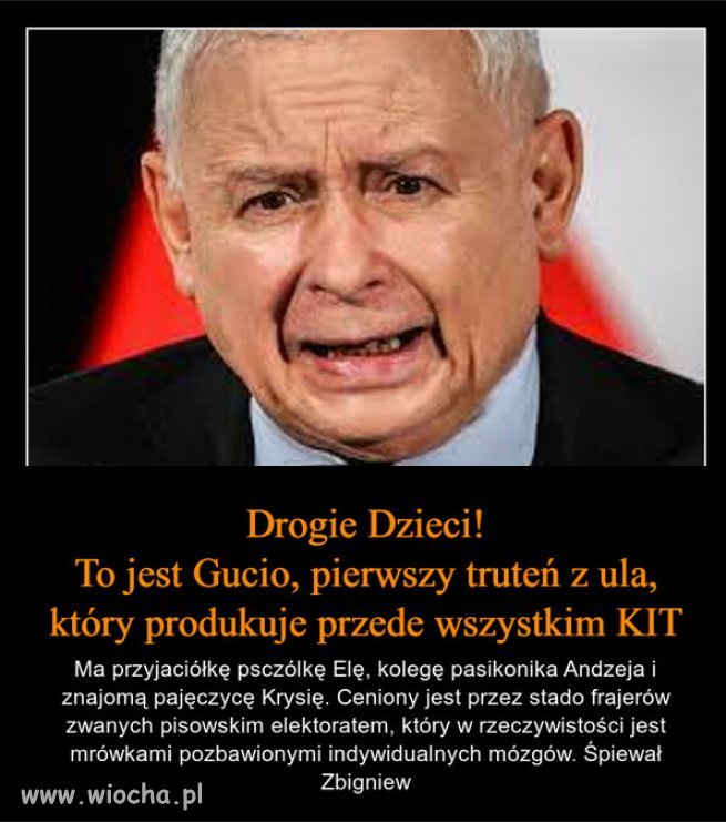 Znacie kogoś kumatego w rządzie senilnego Kaczyńskiego?