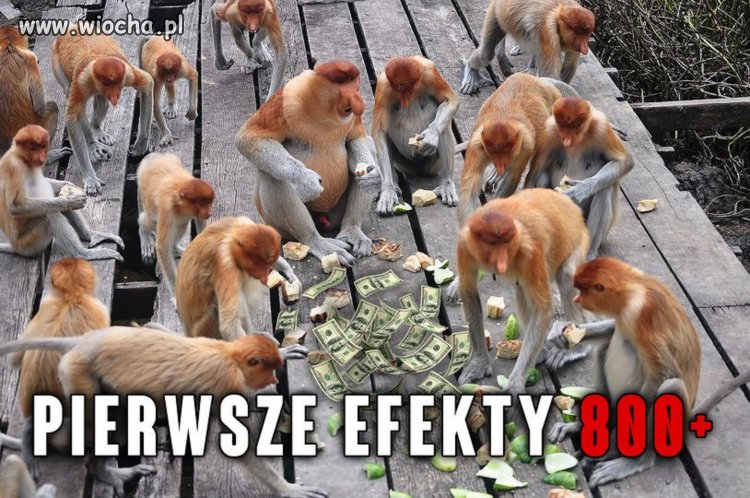 Tak to widzę