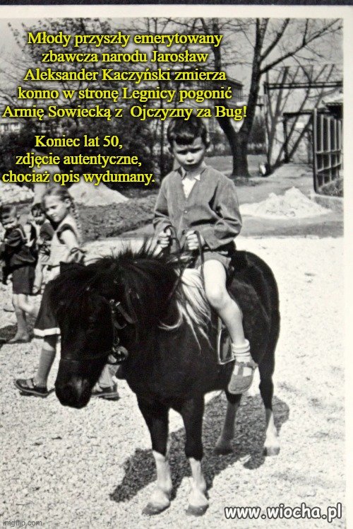 Hej, ułanie, wskocz na koń!