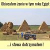 Całkiem sensowna propozycja 