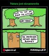 Tylko tak mozna chronic lasy, przed PiSem...