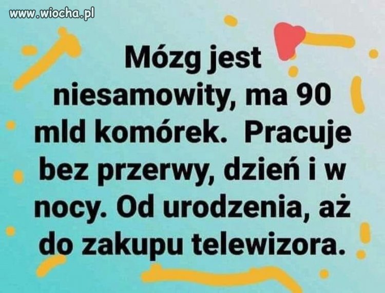Albo do czasu poznania