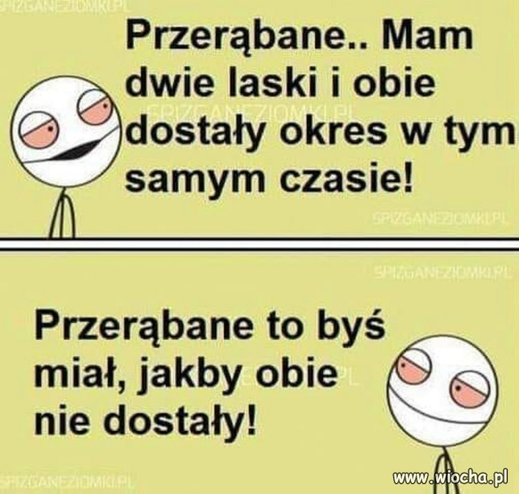 Takie tam, jajcarskie