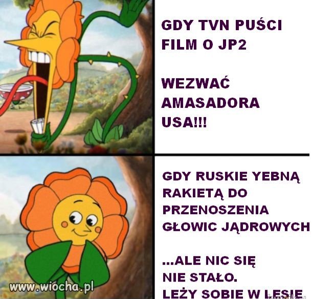 Państwo PiS 