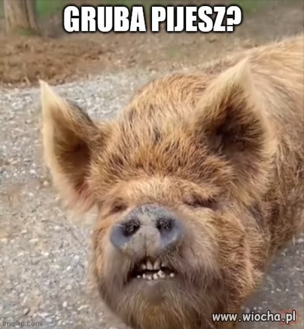 Mina Jath gdy zapytasz czy pije.