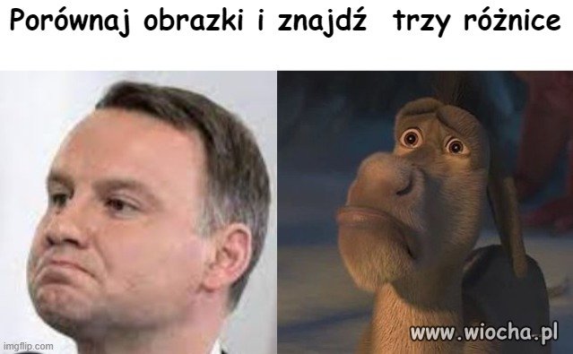 Tylko dla spostrzegawczych