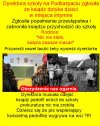 Tak wyglada zacofany, "betonowy" elektorat PiSu!!!