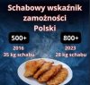 Polski SCHABOWY z NIEMIECKIEJ świni! PiS ZAORAŁ wieś ...
