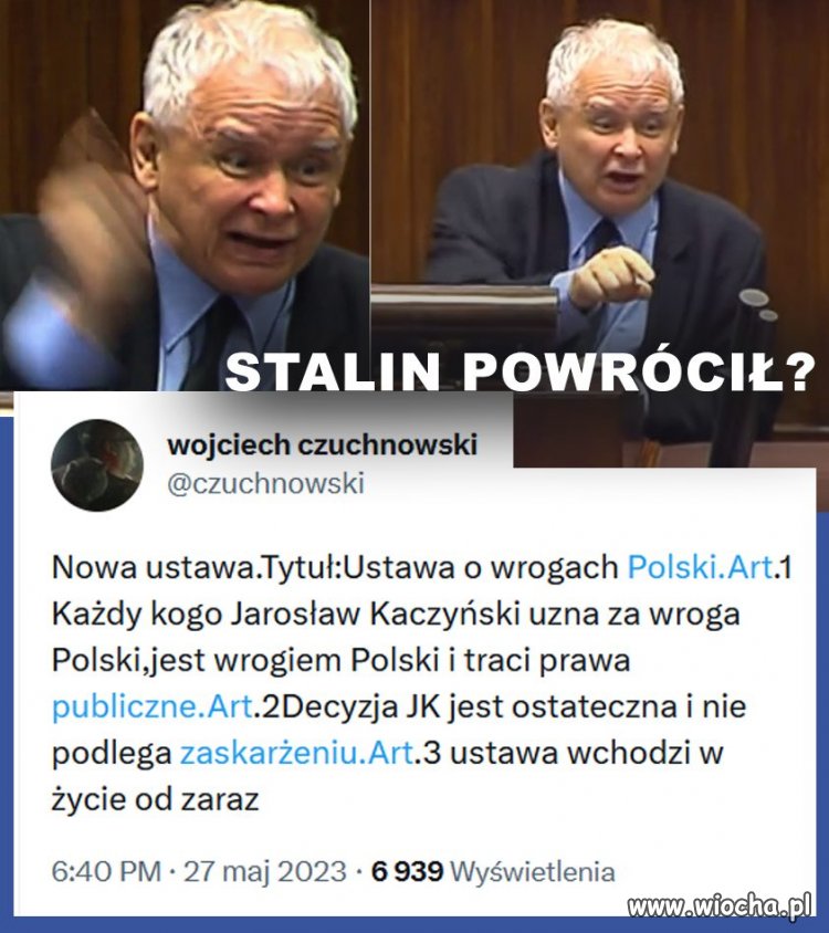 Nasz Łupież (ca) żoliborski w szczytowej formie