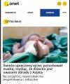 Takie przeoczenie
