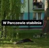 W Parczewie elektorat PiSu, odpoczywa przed wyborami!