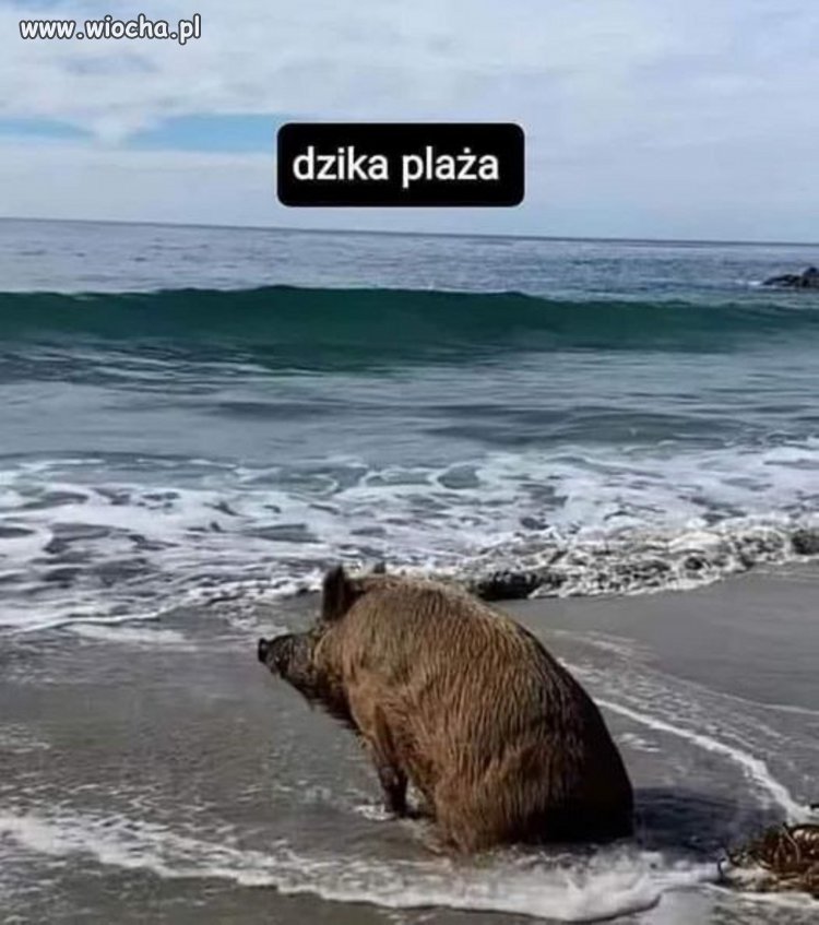 Wszystko to, w letnie dni