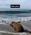 Wszystko to, w letnie dni