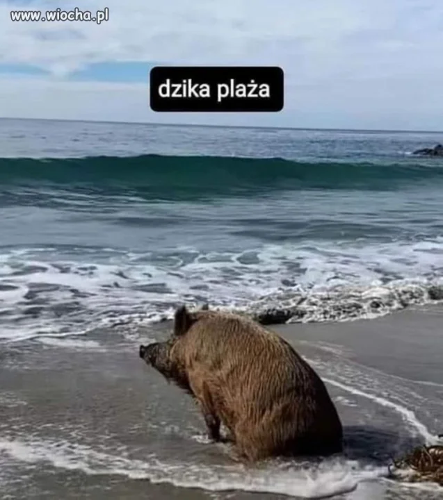 Wszystko to, w letnie dni