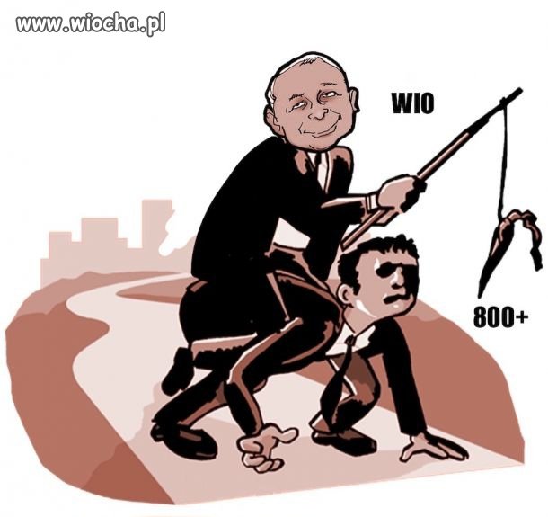 Wyborcy  socjalistów 