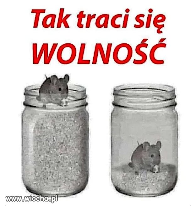 Tak jest