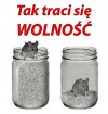 Tak jest