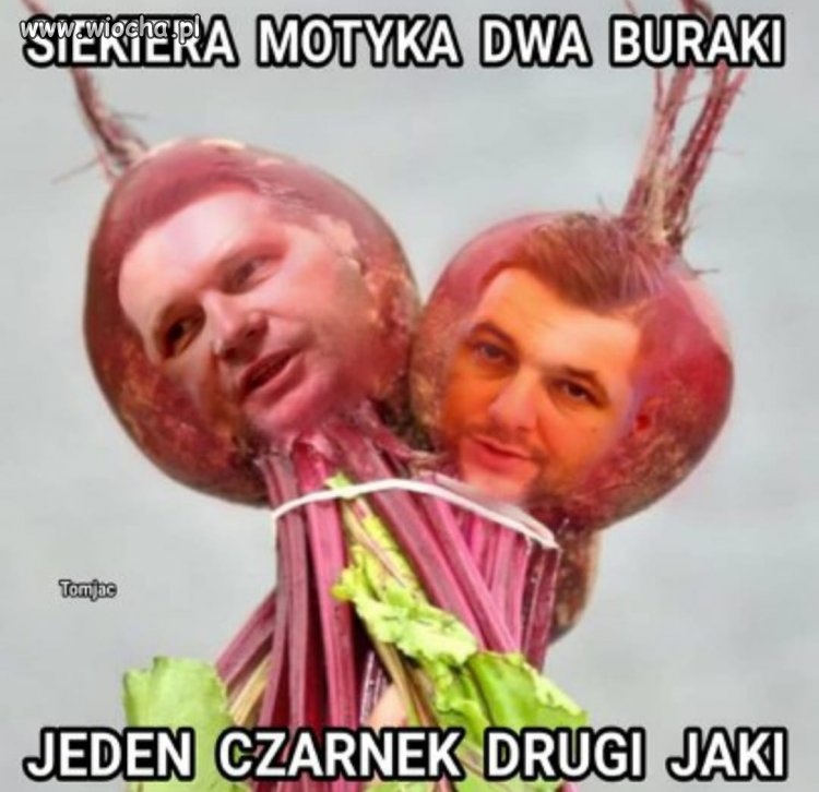 Żeby to jeszcze były tylko te dwa...