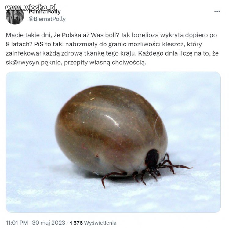 Boli, ale wiem, każdy kleszcz kiedyś odpada i zdycha. To mnie trzyma. 