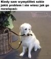 Właśnie tak to wygląda