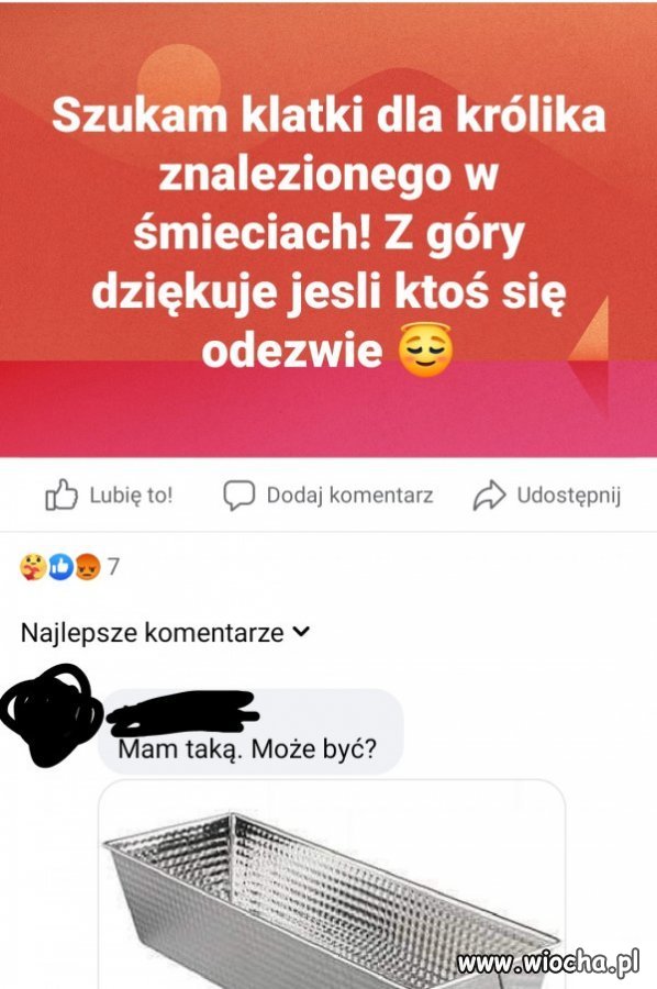 Klatka.