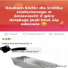 Klatka.