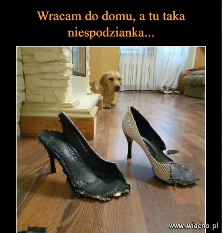 Przecież mówiłaś , że za ciasne