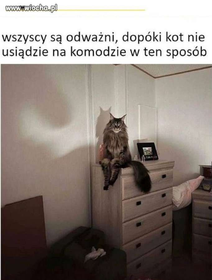 I cała odwaga znika