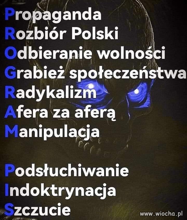 Program pis