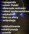 Program pis
