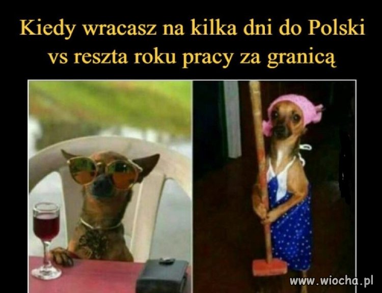 Bez komentarza, każdy tak ma
