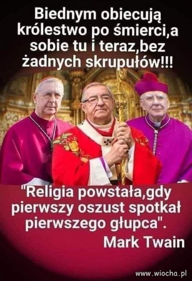 Coś w tym jest