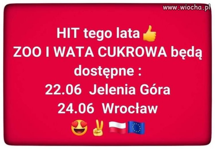 Hit tego lata