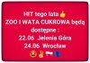Hit tego lata