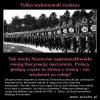 A Polacy zastanawiają się, jak Hitler i Stalin do władzy...