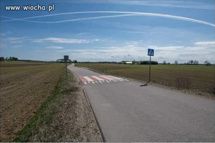 Kraj absurdów