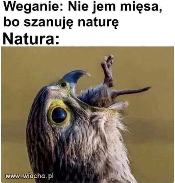 Szanuję naturę, nie jem przyjaciół